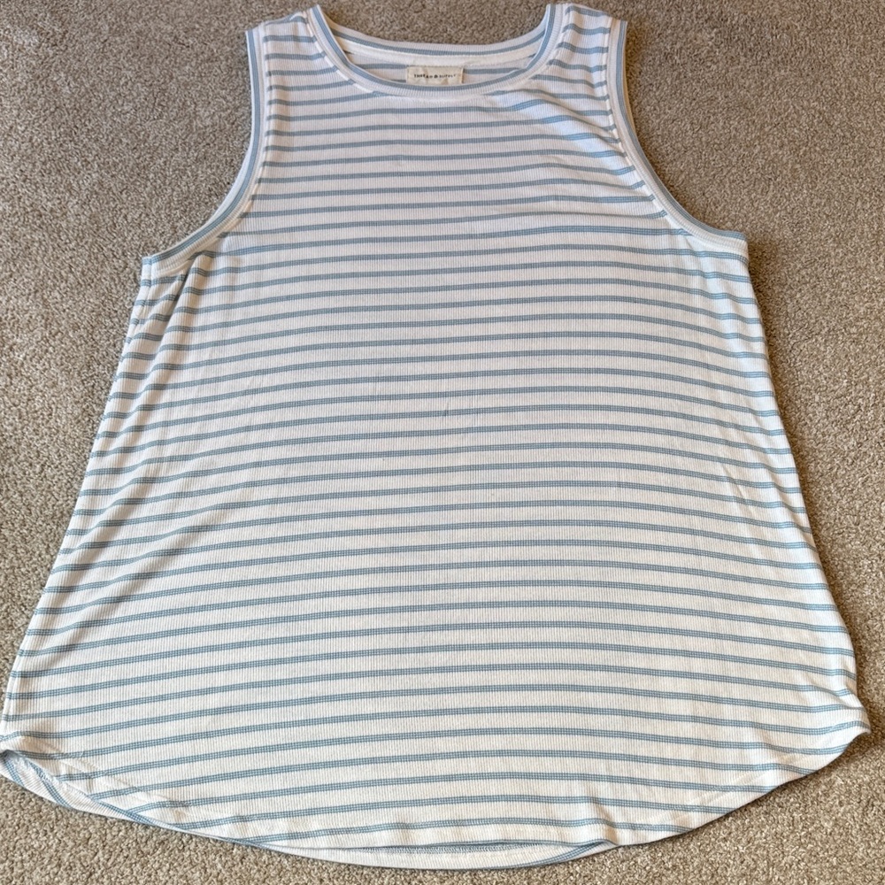 Thread & Supply Light Blue and White Striped Tank Top Women's Medium